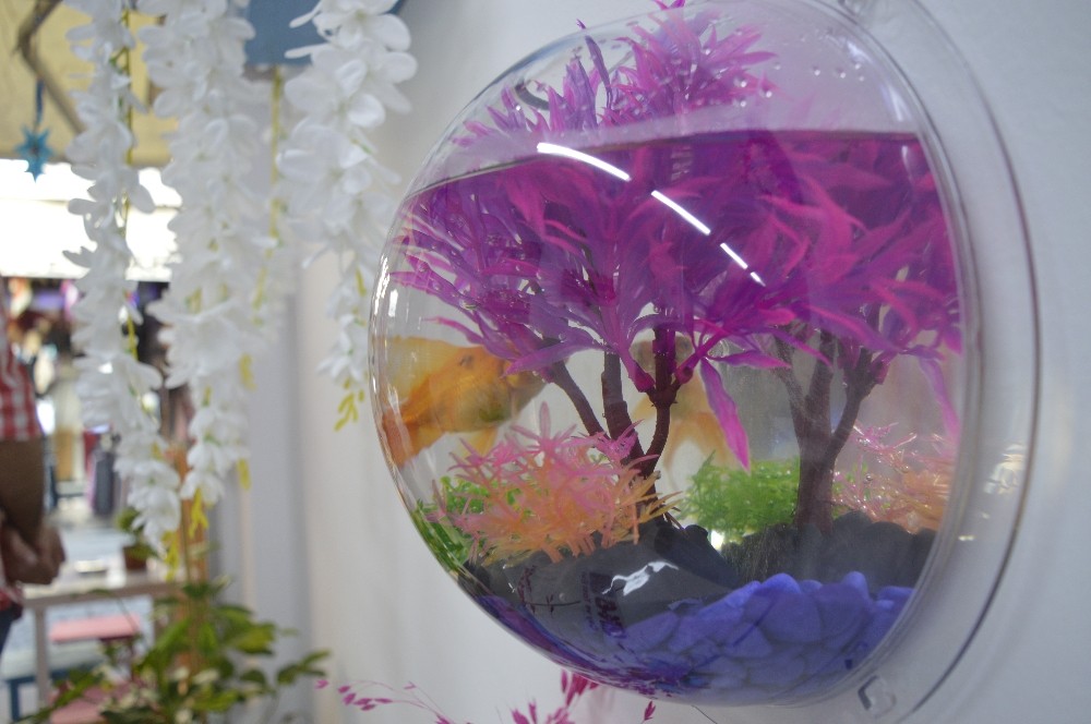 bu kafeye gelenler cicek sulayip balik da besliyor 5 tU6gA76Y Bu kafeye gelenler çiçek sulayıp balık da besliyor