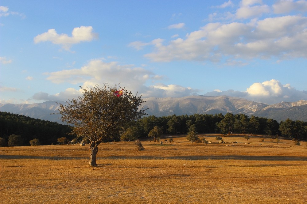 bu yaylada konaklayan mutlu uyaniyor 0 HLvE2dCK Bu yaylada konaklayan mutlu uyanıyor