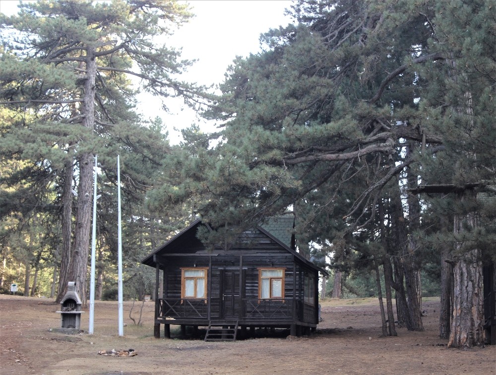 bu yaylada konaklayan mutlu uyaniyor 4 Bu yaylada konaklayan mutlu uyanıyor