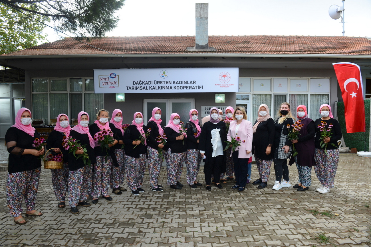 bursali kadin ciftciler ekinezya yetistirmeye basladi 1 YdlW5FmV Bursalı kadın çiftçiler "ekinezya" yetiştirmeye başladı