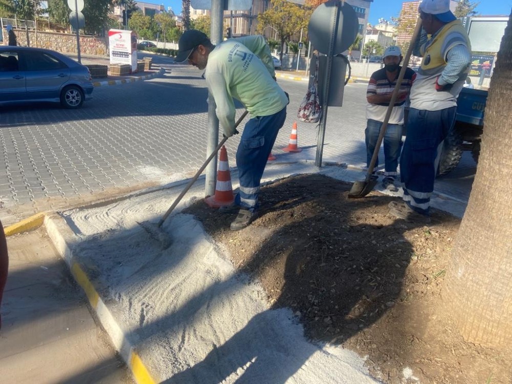 Didim Belediye Kavşağı’ndaki çalışmalarda sona gelindi 1 didim belediye kavsagindaki calismalarda sona gelindi 0 mrXOmq43 Didim Belediye Kavşağı’ndaki çalışmalarda sona gelindi
