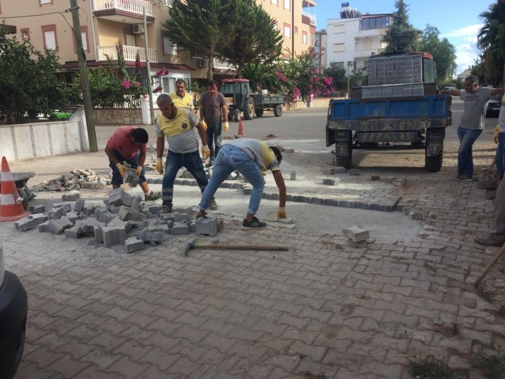 didim belediyesi ilce genelinde calismalarini surduruyor 0 PZnuUcBE Didim Belediyesi ilçe genelinde çalışmalarını sürdürüyor
