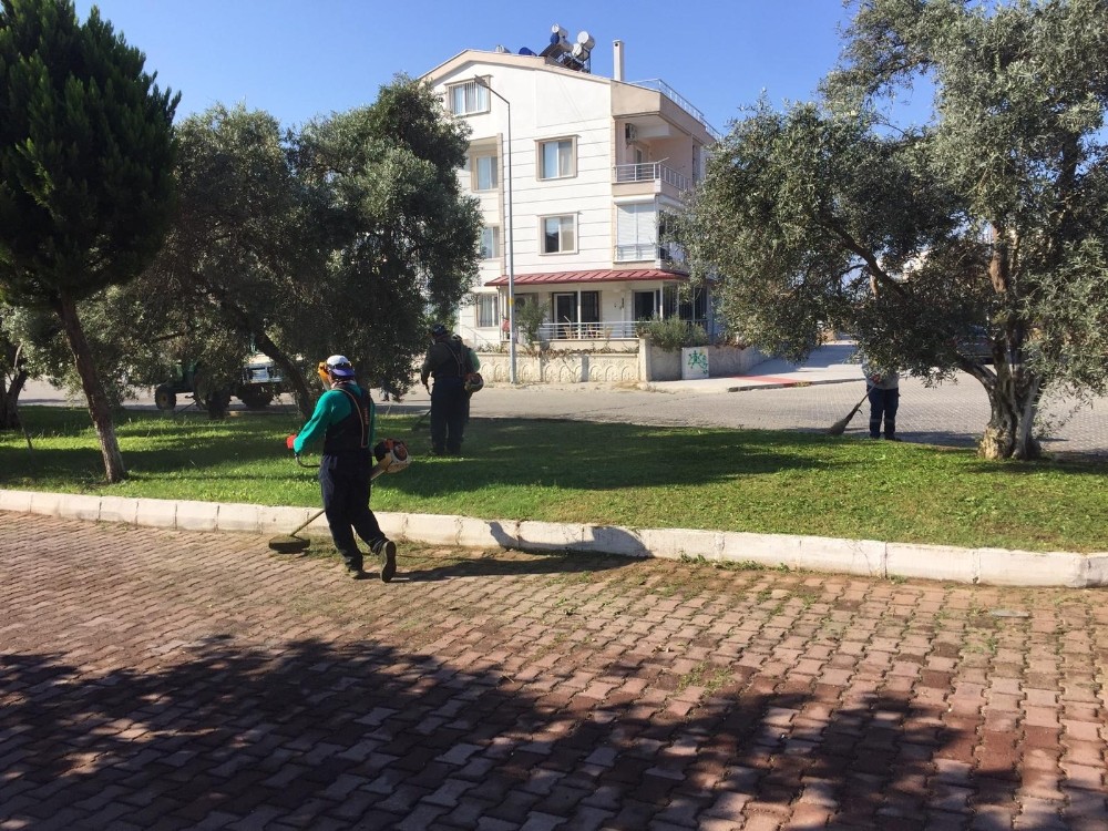 didimde park bakim ve onarim isleri devam ediyor 1 mfztZm74 Didim’de park bakım ve onarım işleri devam ediyor