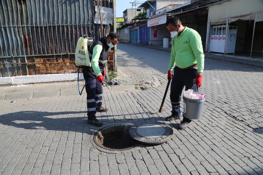 Efeler Belediyesi ilaçlama çalışmalarına devam ediyor 1 efeler belediyesi ilaclama calismalarina devam ediyor 1 ibFeI5j8 Efeler Belediyesi ilaçlama çalışmalarına devam ediyor