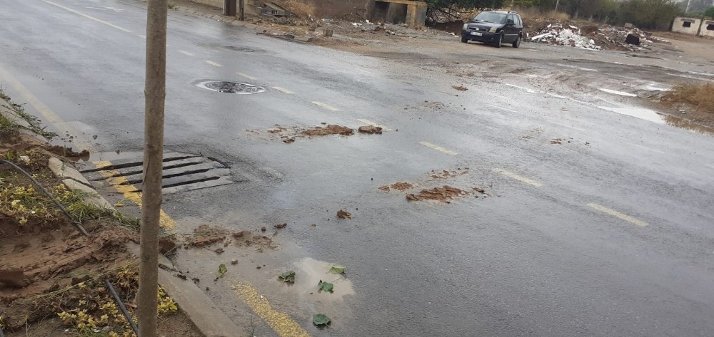 efeler belediyesi yesil alana zarar veren calismayi durdurdu 2 PDyn2PUi Efeler Belediyesi yeşil alana zarar veren çalışmayı durdurdu