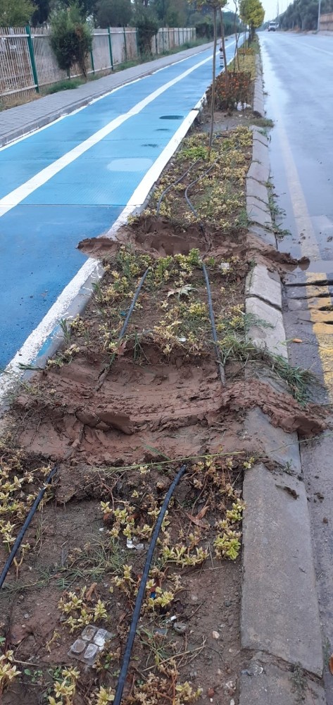 efeler belediyesi yesil alana zarar veren calismayi durdurdu 3 g6wM8yE2 Efeler Belediyesi yeşil alana zarar veren çalışmayı durdurdu