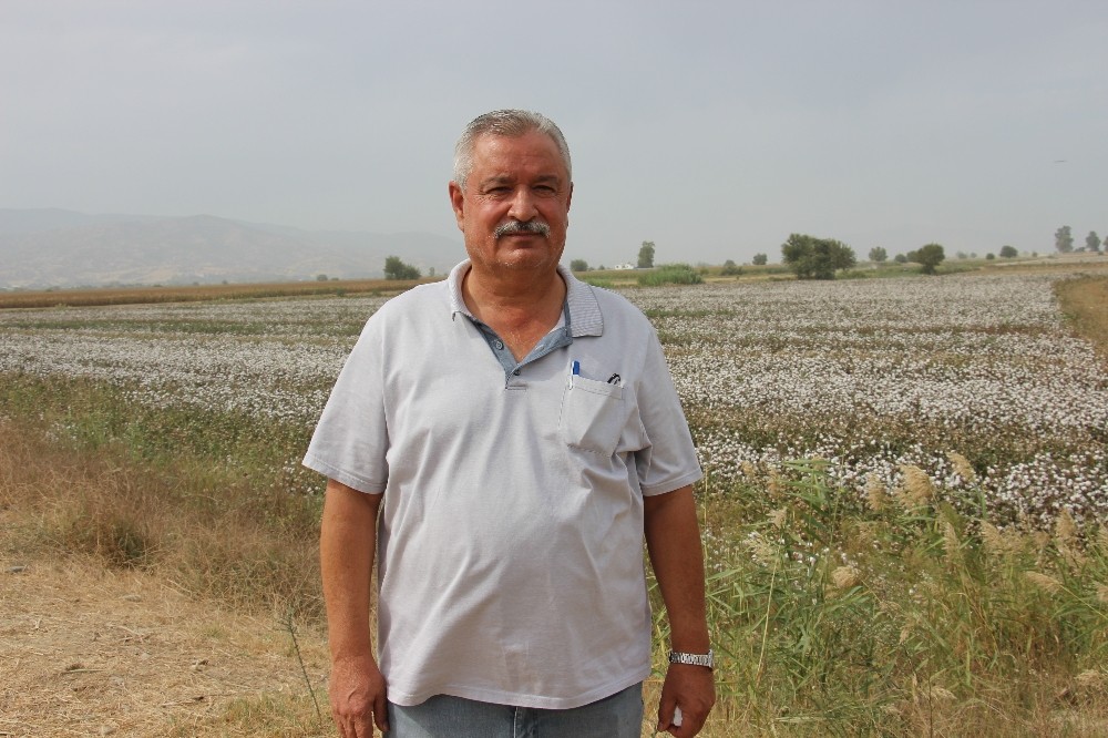 efeler ziraat odasi baskani kendirlioglu ciftcinin bayrami hasattir 4 Efeler Ziraat Odası Başkanı Kendirlioğlu, "Çiftçinin bayramı hasattır"