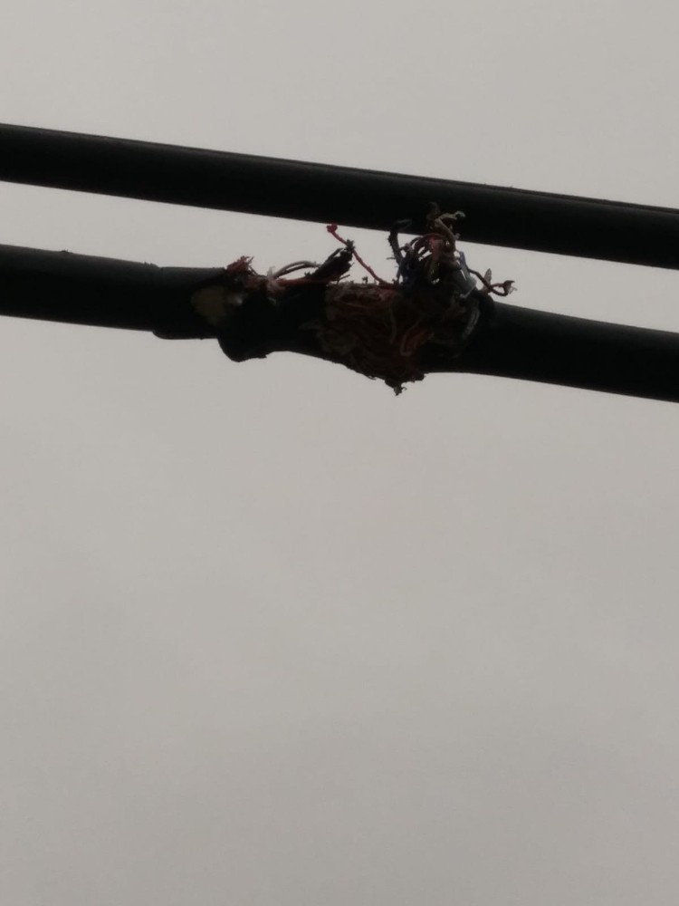 gunduz kesip gece caliyorlar 2 Gündüz kesip gece çalıyorlar