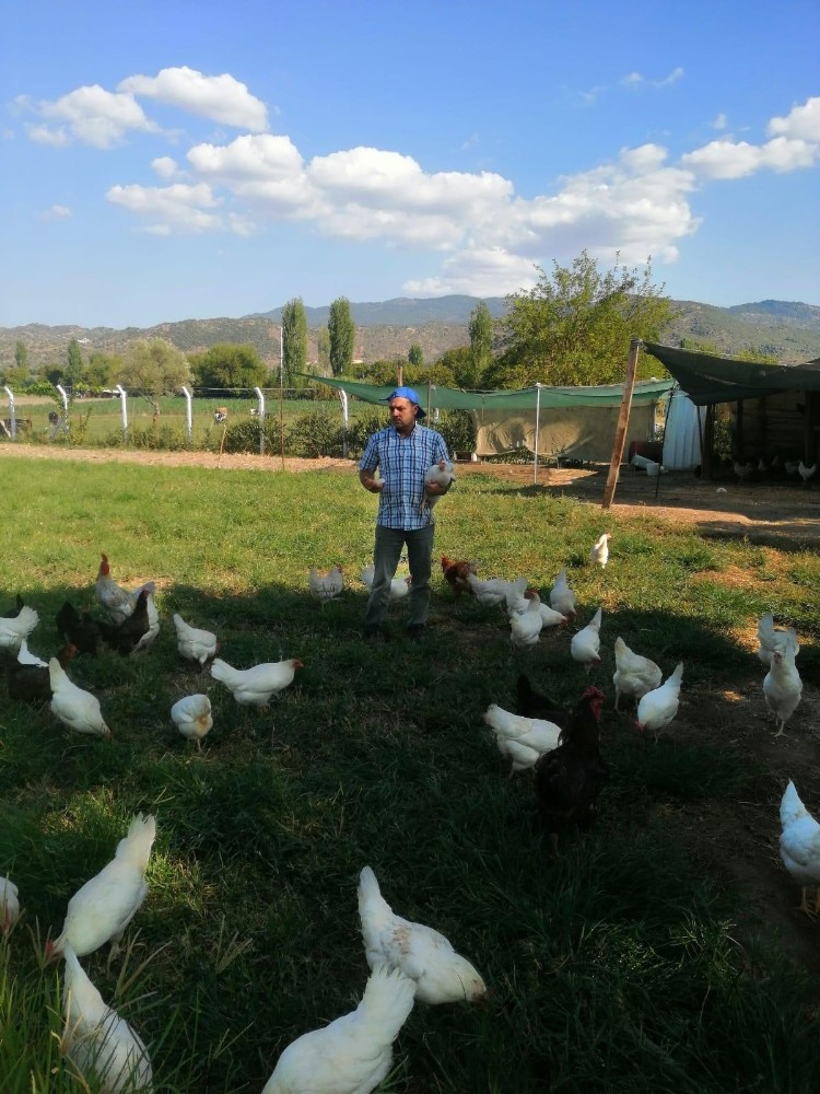 hobi olarak basladi ciftlik sahibi oldu 0 UPdKI3l3 Hobi olarak başladı, çiftlik sahibi oldu