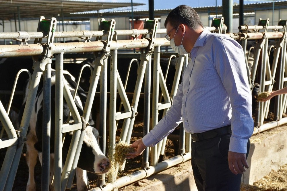 kaymakam sahin kocagurdeki ciftligi ziyaret etti 2 Kaymakam Şahin, Kocagür’deki çiftliği ziyaret etti