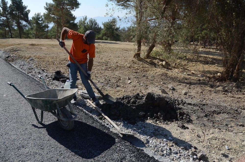 kusadasi yeni asri mezarlikta duzenleme calismalari suruyor 5 TWpfmtcg Kuşadası Yeni Asri Mezarlık’ta düzenleme çalışmaları sürüyor