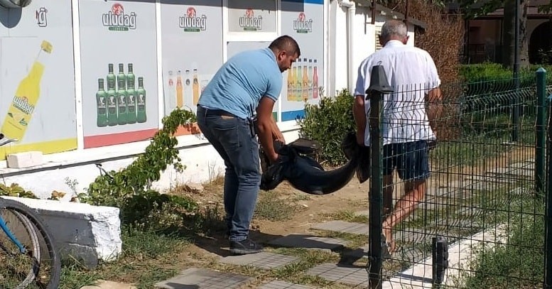 kusadasinda olu yunus baligi sahile vurdu 1 Kuşadası’nda ölü yunus balığı sahile vurdu