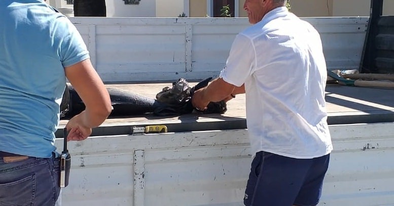 kusadasinda olu yunus baligi sahile vurdu 2 NcsR3GRR Kuşadası’nda ölü yunus balığı sahile vurdu