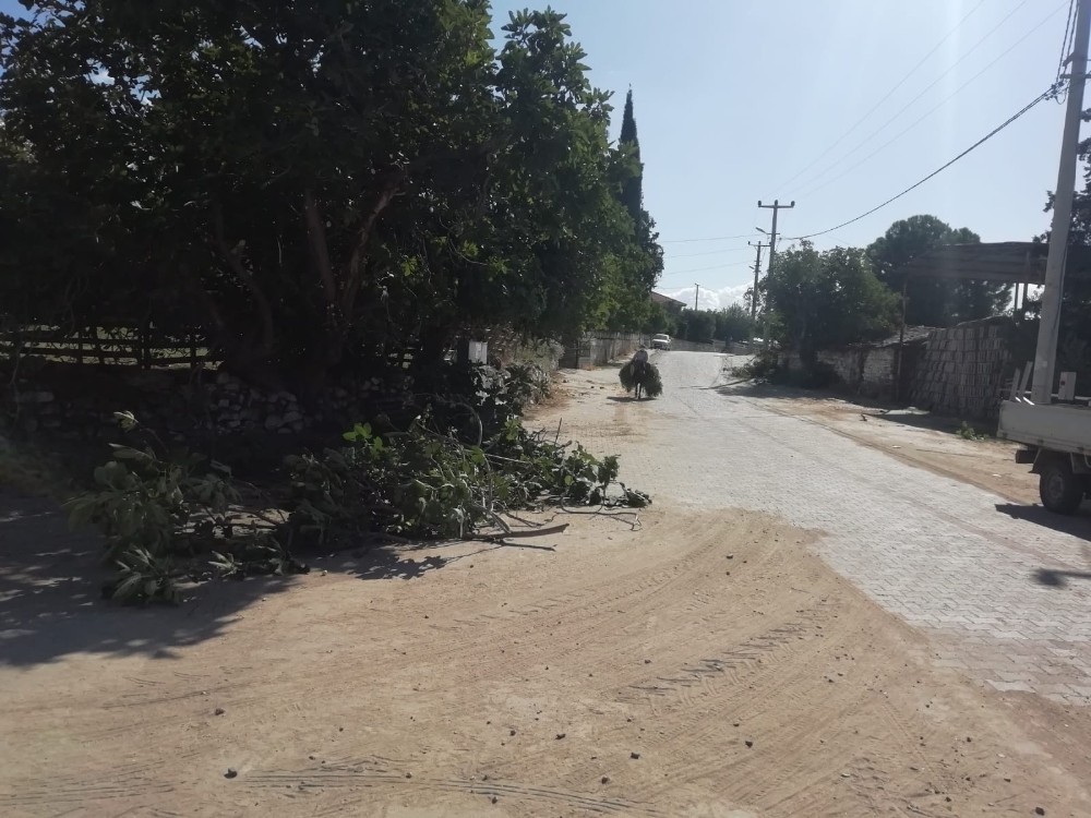 kuyucakta sonbahar temizligi yapiliyor 1 8NBRJnKK Kuyucak’ta sonbahar temizliği yapılıyor