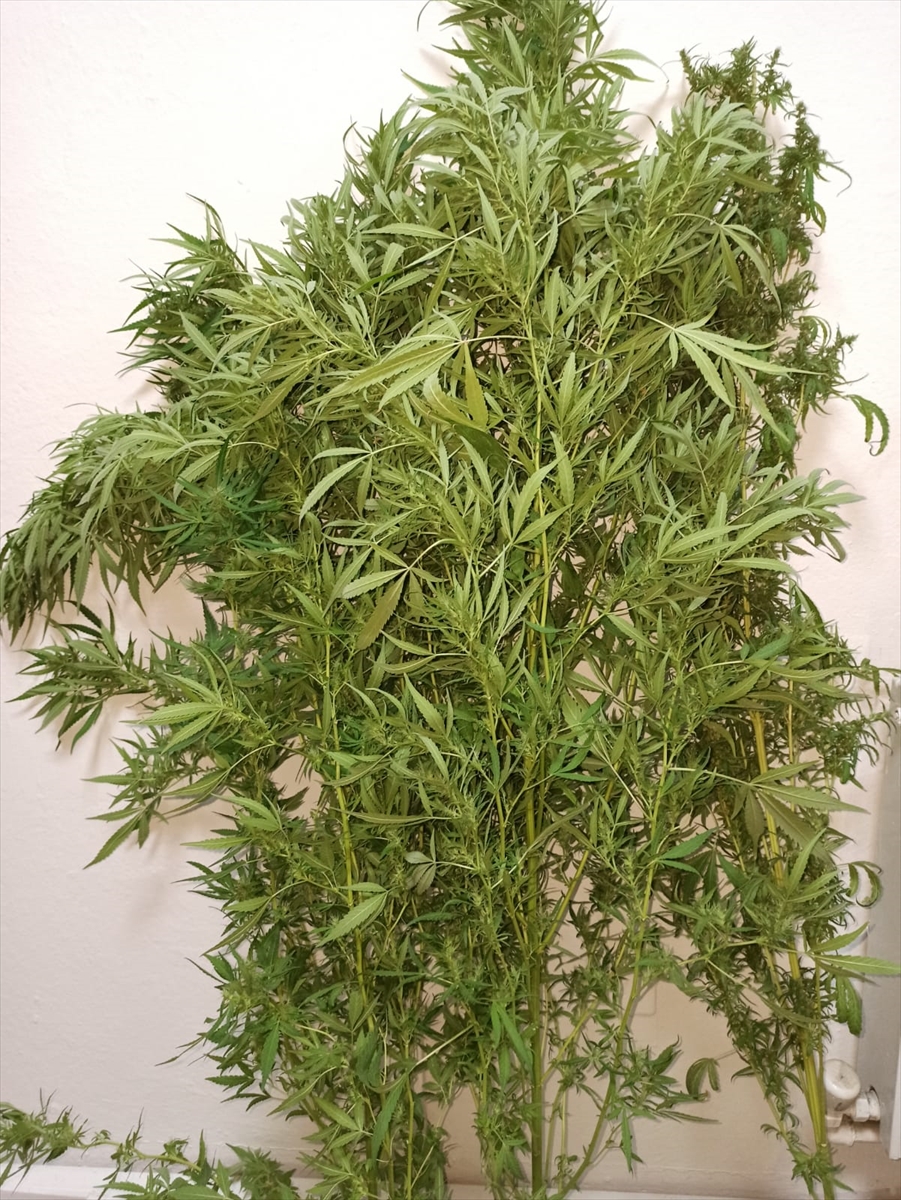 manisada uyusturucu operasyonu 1 W8RbhtJE Manisa'da uyuşturucu operasyonu