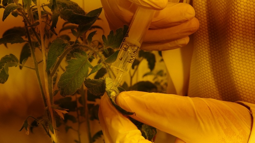 omulu ogrencilerin teknofest basarisi 1 hHzDusq5 OMÜ’lü öğrencilerin TEKNOFEST başarısı