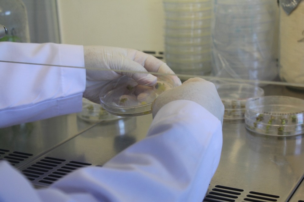 omulu ogrencilerin teknofest basarisi 2 Ph4ThW2U OMÜ’lü öğrencilerin TEKNOFEST başarısı