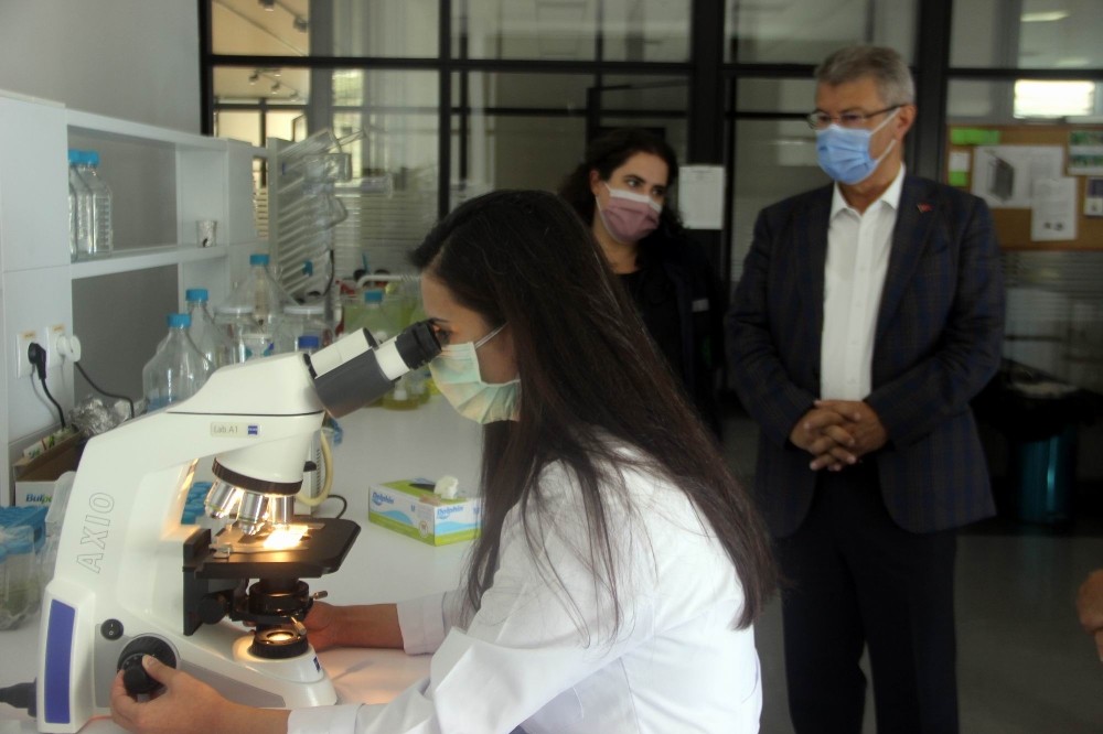 sekere yerli tohum geliyor 2 jc4XpjBt Şekere yerli tohum geliyor