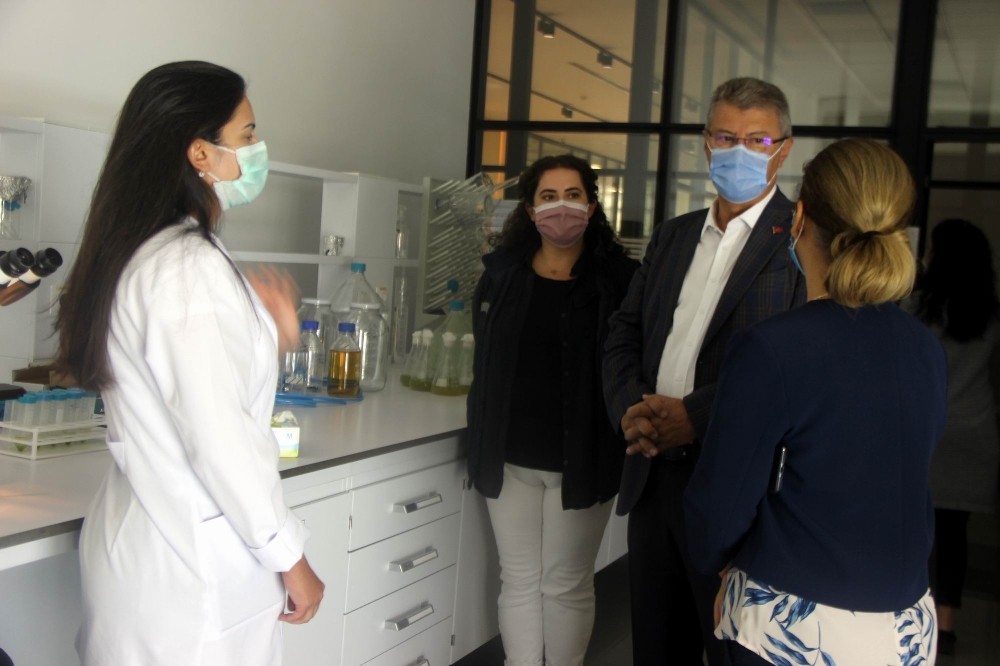 sekere yerli tohum geliyor 3 Bh3LTzHL Şekere yerli tohum geliyor