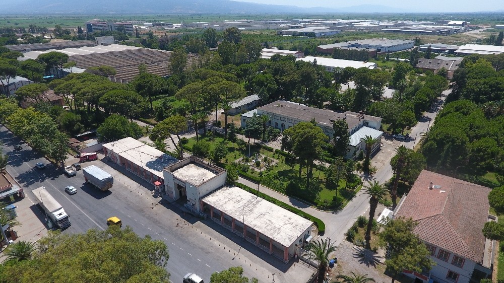 sumer kampus dogal sit alani olarak tescil edildi 1 Bc5Y53gv Sümer Kampüs doğal sit alanı olarak tescil edildi