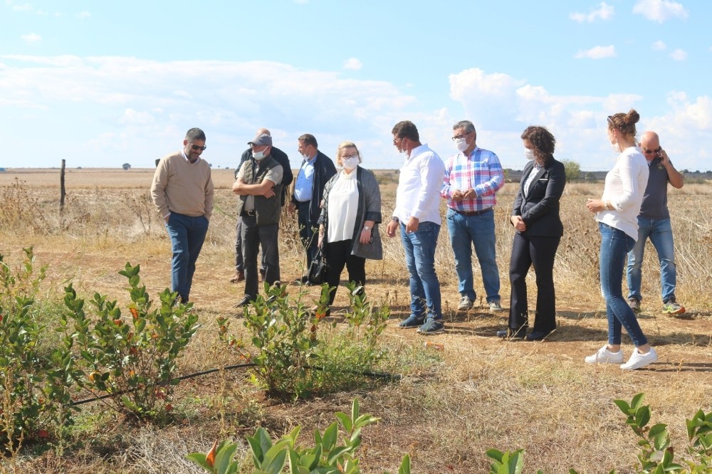 super meyve aronia yayginlasiyor 2 Süper meyve Aronia yaygınlaşıyor