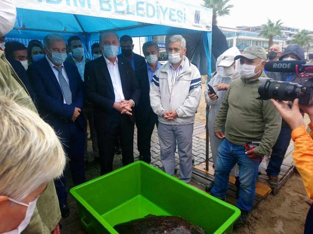 tedavisi yapilan caretta caretta didim altinkumda denize birakildi 3 eWQRE7lm Tedavisi yapılan caretta caretta Didim Altınkum’da denize bırakıldı