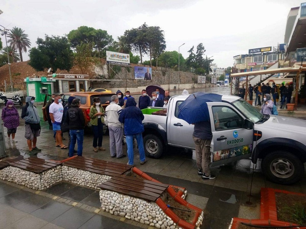 tedavisi yapilan caretta caretta didim altinkumda denize birakildi 5 PUFXWI51 Tedavisi yapılan caretta caretta Didim Altınkum’da denize bırakıldı