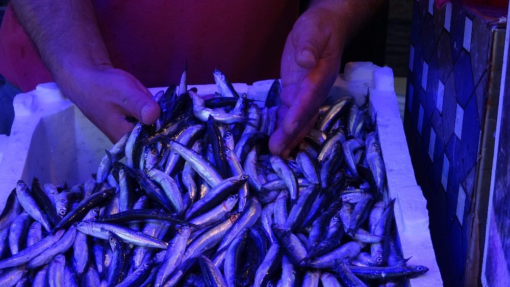 trabzonda hamsi tezg htaki yerini aldi 1 jLZN8nq7 Trabzon’da hamsi tezgâhtaki yerini aldı