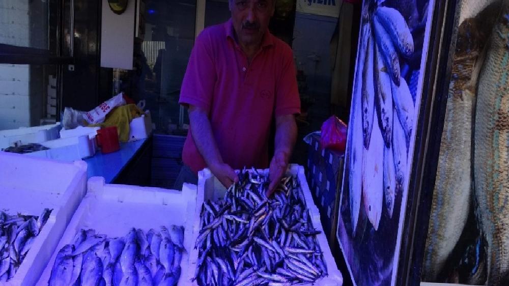 trabzonda-hamsi-tezg-htaki-yerini-aldi-2jLhjJsI.jpg