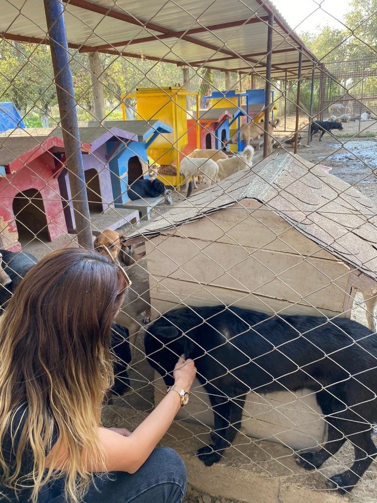 uzlasmaya gittiler cezadan kurtuldular 1 l9WPIvWg Uzlaşmaya gittiler, cezadan kurtuldular