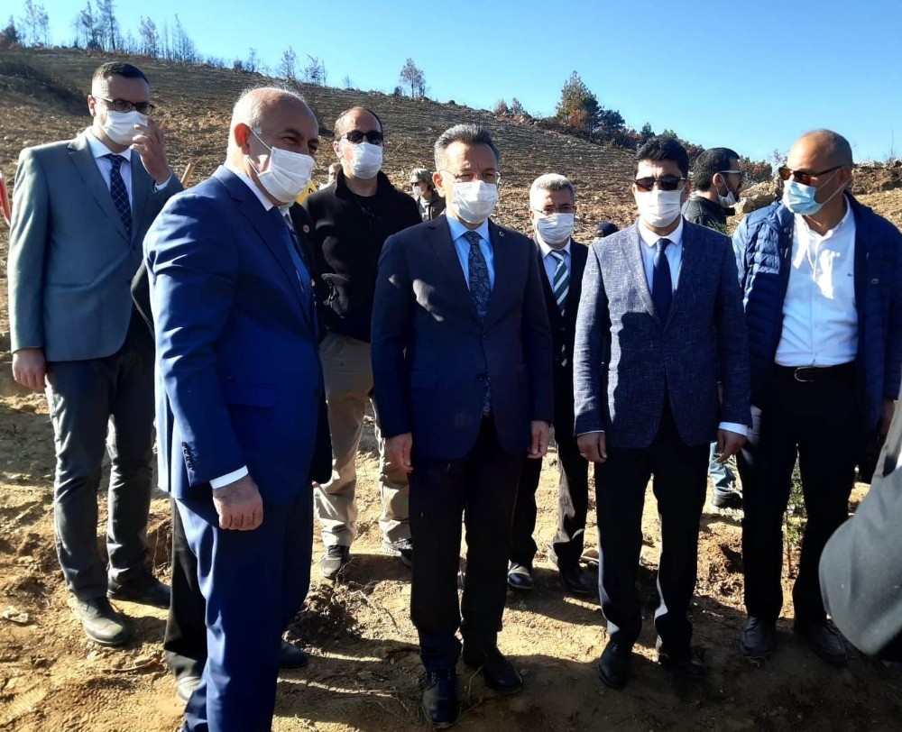 adu rektoru aldemir sokedeki agac dikme etkinligine katildi 1 kOOljOaX ADÜ Rektörü Aldemir Söke’deki ağaç dikme etkinliğine katıldı