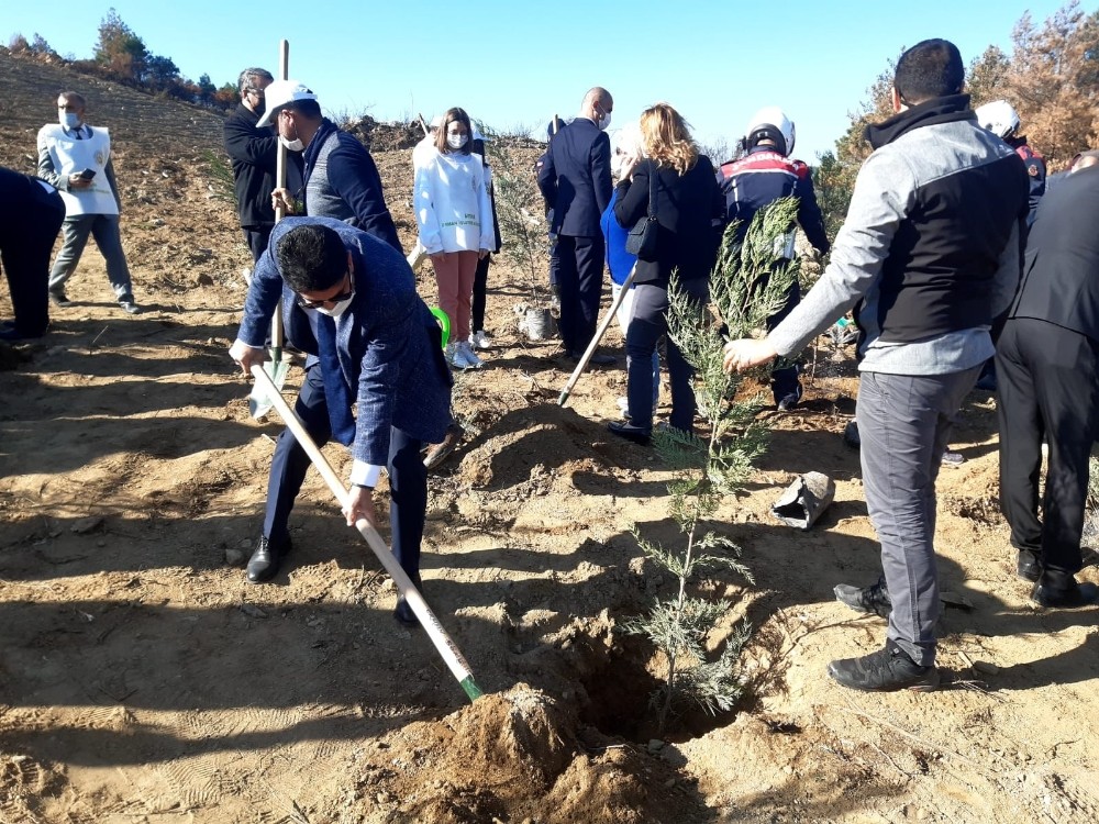 adu rektoru aldemir sokedeki agac dikme etkinligine katildi 2 ADÜ Rektörü Aldemir Söke’deki ağaç dikme etkinliğine katıldı