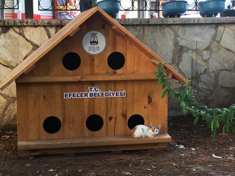 aydin valiligi yeni gorunumune kavustu 5 Hv8I2PKB Aydın Valiliği Yeni Görünümüne Kavuştu