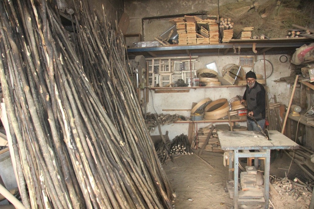 aydinda zeytin siriklari teknolojiye karsi direniyor 1 jSDb6vkA Aydın’da ’zeytin sırıkları’ teknolojiye karşı direniyor