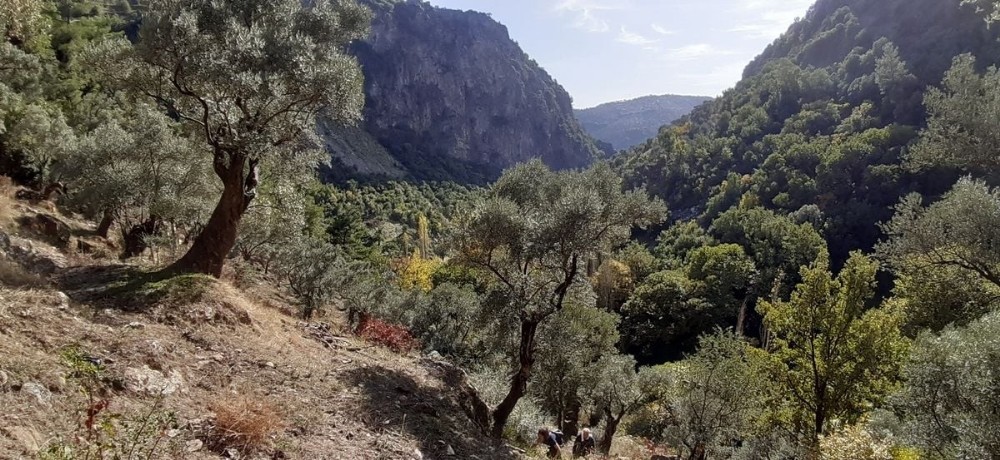 aydinin yani basinda bir doga harikasi kocak kanyonu 10 Aydın’ın yanı başında bir doğa harikası: “ Koçak Kanyonu “
