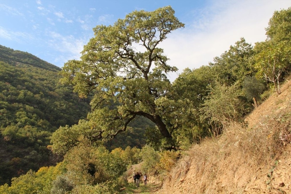 aydinin yani basinda bir doga harikasi kocak kanyonu 12 rUN9B8QV Aydın’ın yanı başında bir doğa harikası: “ Koçak Kanyonu “