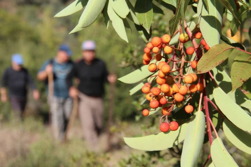 aydinin yani basinda bir doga harikasi kocak kanyonu 18 MEu1cnZN Aydın’ın yanı başında bir doğa harikası: “ Koçak Kanyonu “