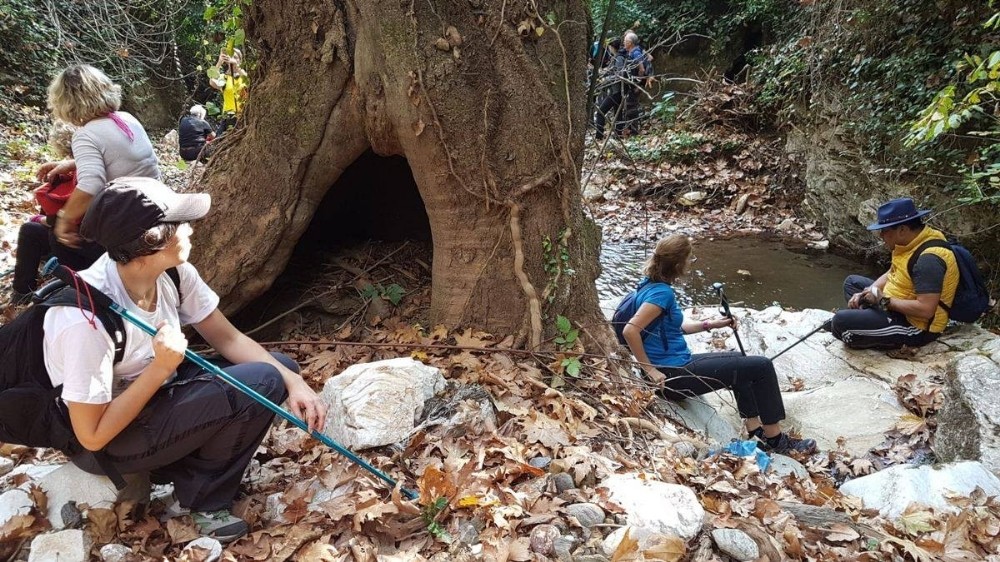 aydinin yani basinda bir doga harikasi kocak kanyonu 7 Aydın’ın yanı başında bir doğa harikası: “ Koçak Kanyonu “