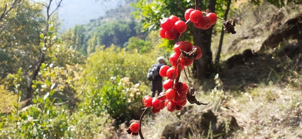aydinin yani basinda bir doga harikasi kocak kanyonu 8 LhZpGZV4 Aydın’ın yanı başında bir doğa harikası: “ Koçak Kanyonu “