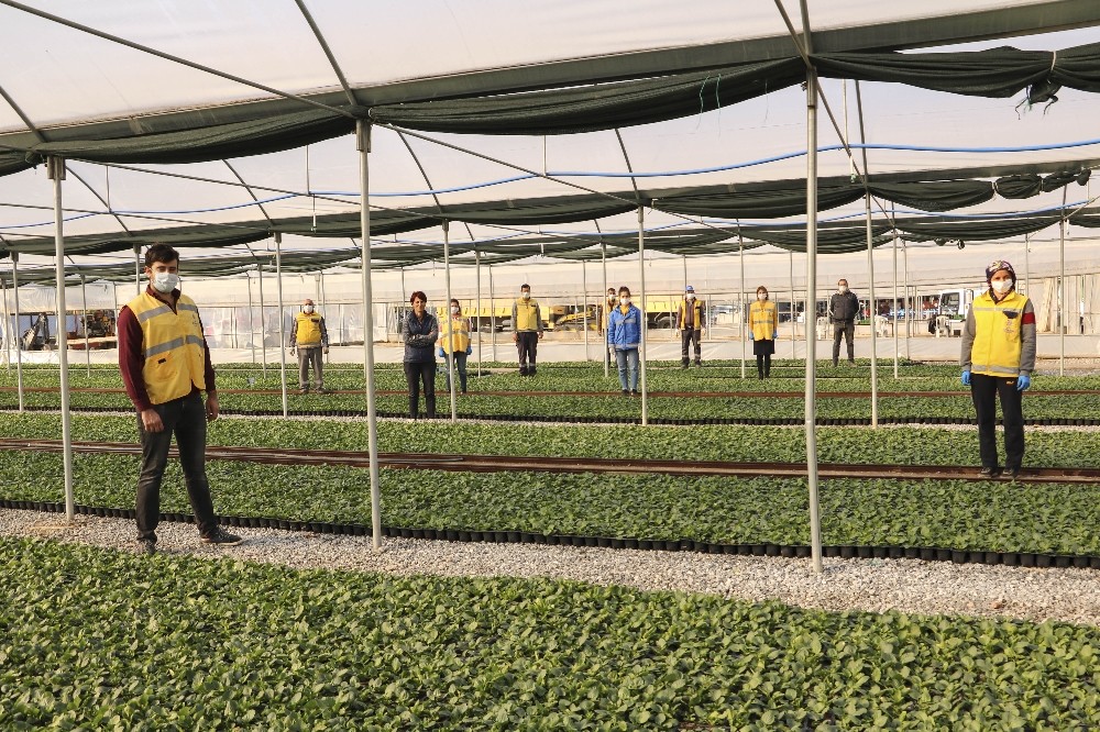 buyuksehir kendi urettigi ciceklerle aydini renklendiriyor 1 BJWgZvza Büyükşehir kendi ürettiği çiçeklerle Aydın’ı renklendiriyor