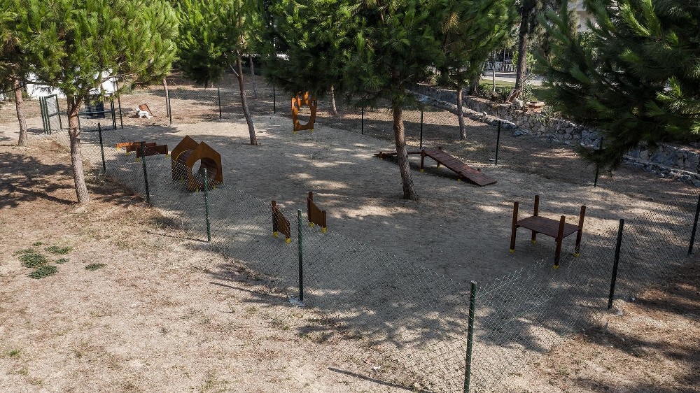 depremin kahraman kopegi bobun ismi kusadasinda parka verildi 1 GKKFjlNb Depremin kahraman köpeği Bob’un ismi Kuşadası’nda parka verildi