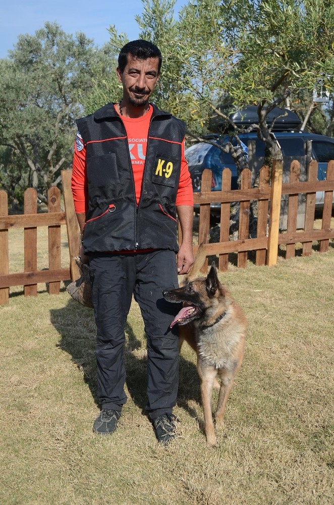 depremin kahraman kopegi bobun ismi kusadasinda parka verildi 6 Depremin kahraman köpeği Bob’un ismi Kuşadası’nda parka verildi