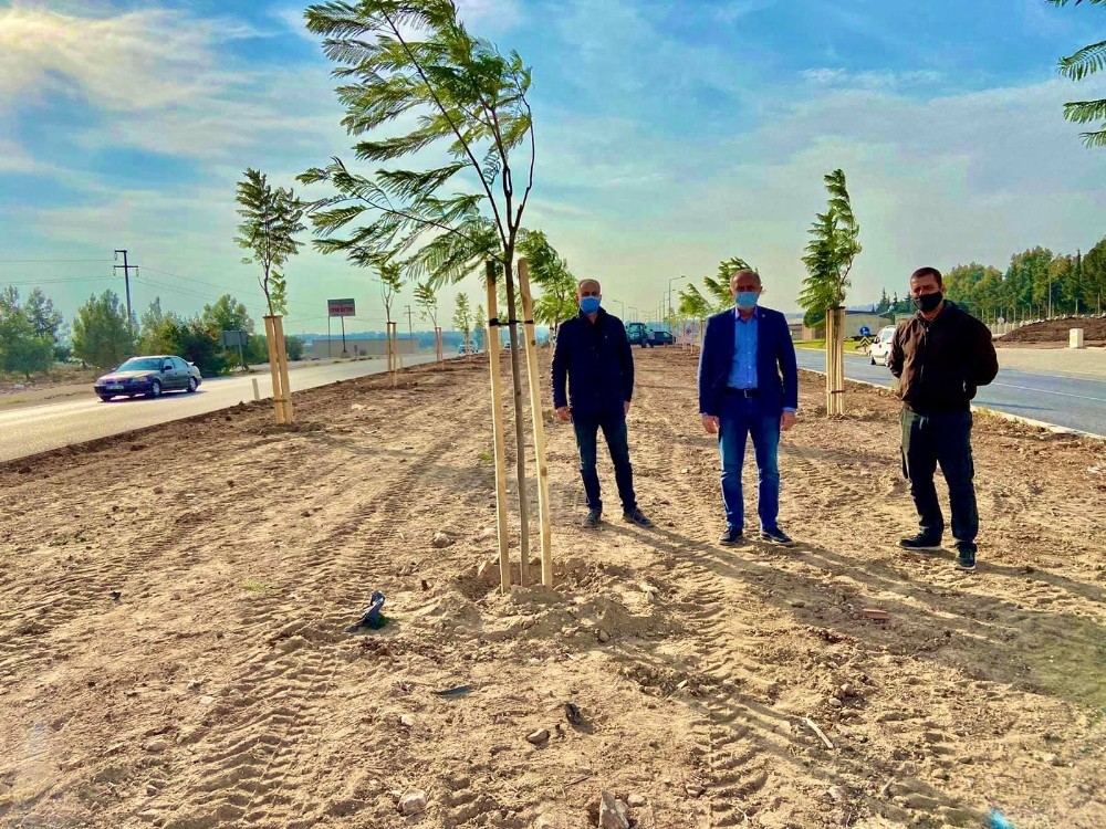 didim jakaranda agaclari ile guzellesiyor 1 YMYZBWtt Didim Jakaranda ağaçları ile güzelleşiyor