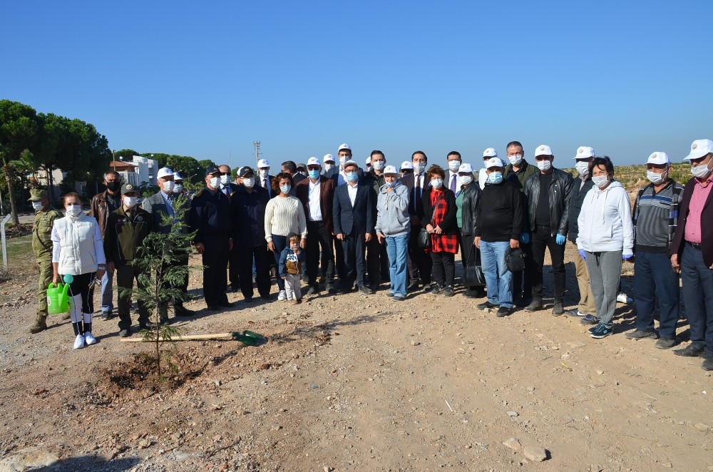 didimde agaclandirma seferberligine destek olundu 2 GCNEi66K Didim’de ağaçlandırma seferberliğine destek olundu