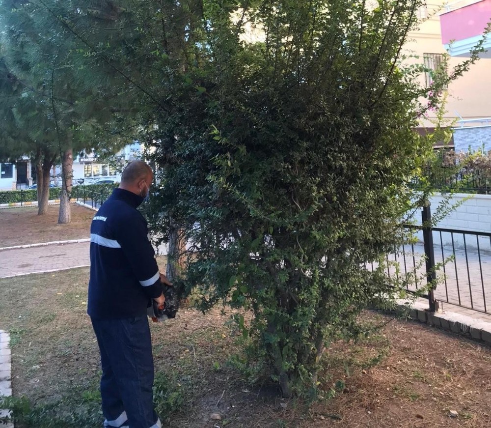 didimde park bahceler mudurlugu calismalarini surduruyor 3 Didim’de Park Bahçeler Müdürlüğü çalışmalarını sürdürüyor