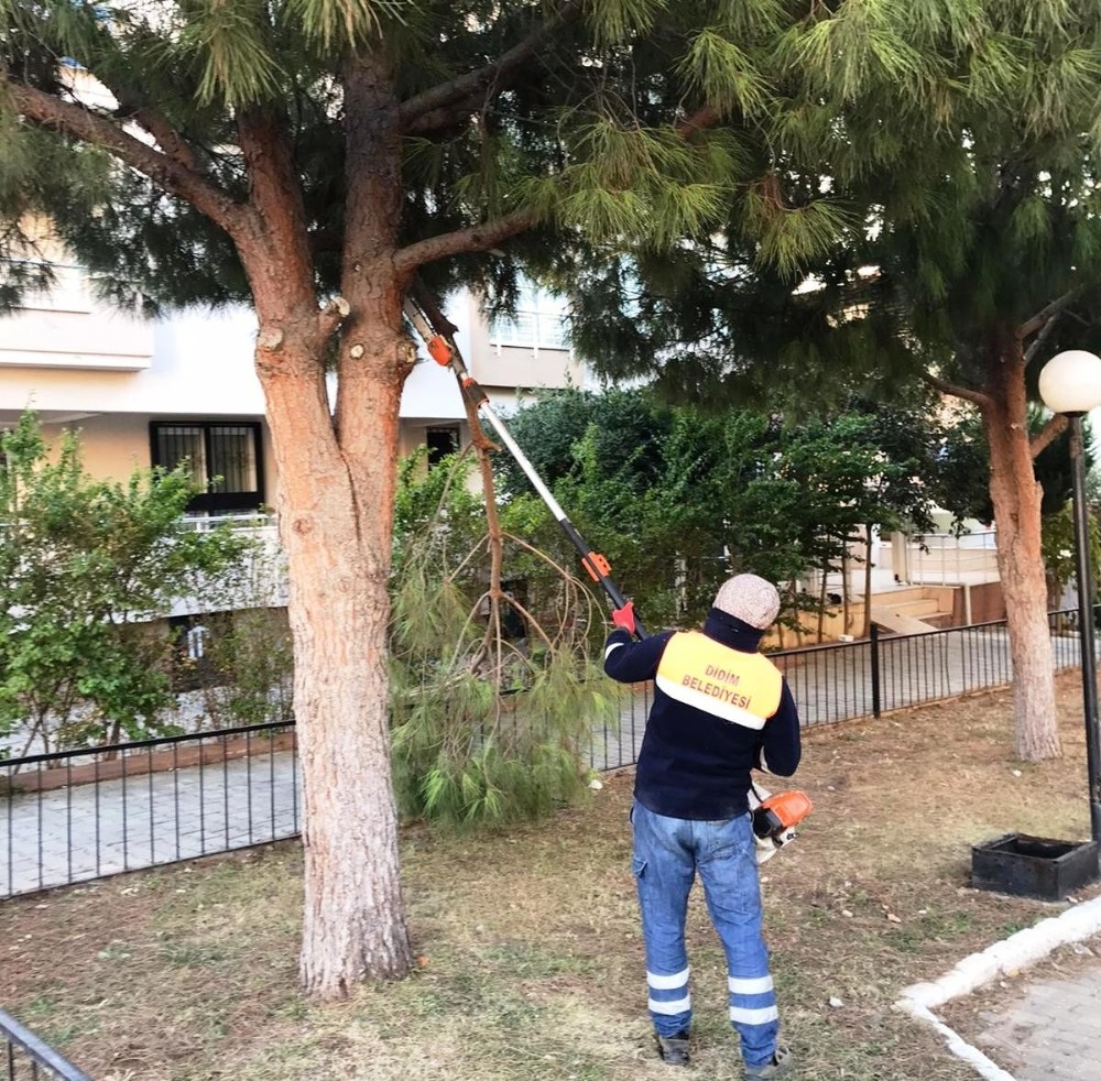 didimde park bahceler mudurlugu calismalarini surduruyor 4 fjf7pbWZ Didim’de Park Bahçeler Müdürlüğü çalışmalarını sürdürüyor