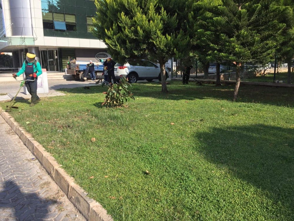didimde parklarin bakimi devam ediyor 1 X9Batkiu Didim’de parkların bakımı devam ediyor