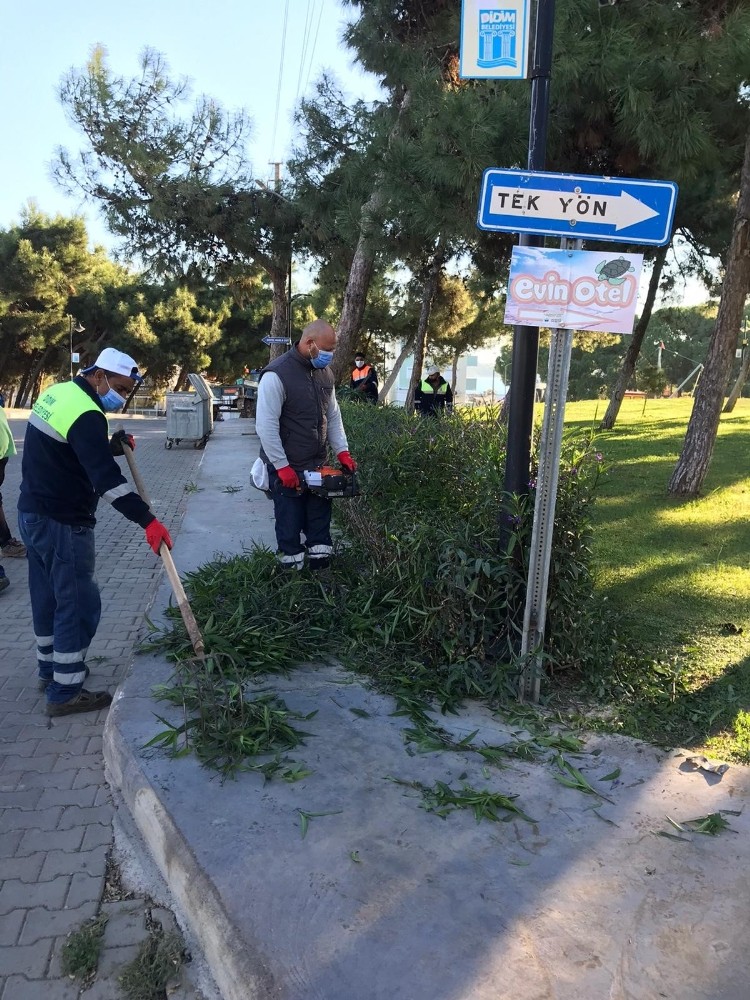 didimde yesil alan calismalari devam ediyor 2 ft6ByYB1 Didim’de yeşil alan çalışmaları devam ediyor