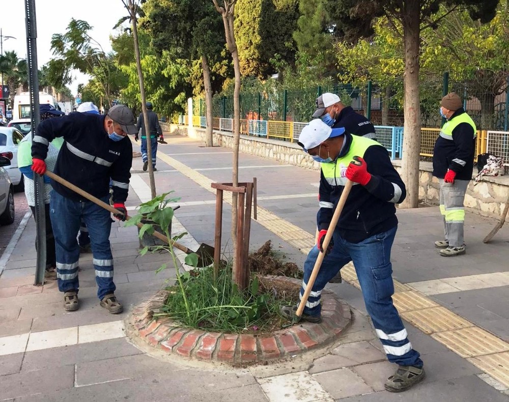didimde yesil alanlarda bakim calismalari suruyor 1 3XgANKS5 Didim’de yeşil alanlarda bakım çalışmaları sürüyor