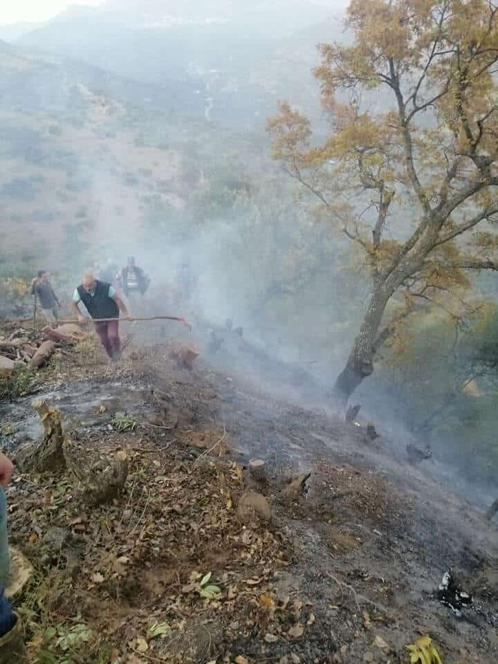 dumani goren daga kostu yangin kisa surede sonduruldu 3 2YFhczaj Dumanı gören dağa koştu, yangın kısa sürede söndürüldü